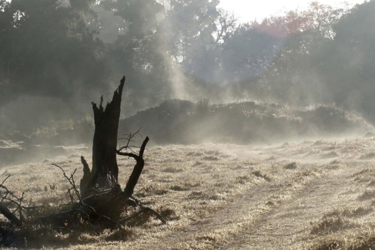 48672 8125ecf8a2c2aaa4.jpg