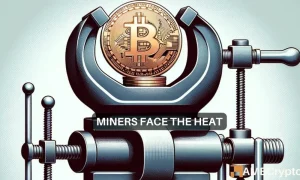 Btc Miners 1000x600.webp.webp