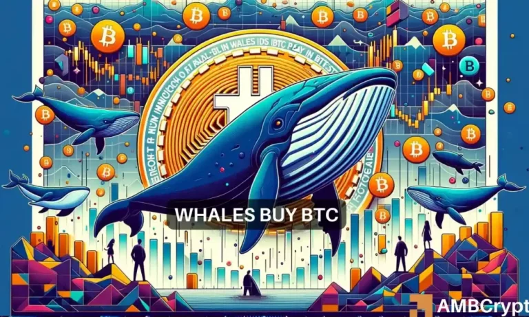 Btc Whales Buy 1 1000x600.webp.webp
