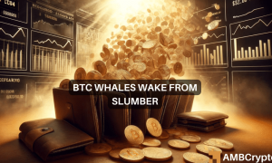 Bitcoin Wallets Wake Up 1000x600.png