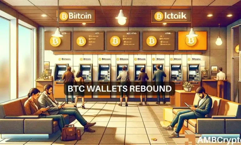 Bitcoin Wallets 1 1000x600.webp.webp