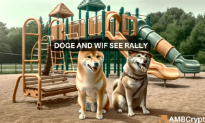 Dogewif 1000x600.png