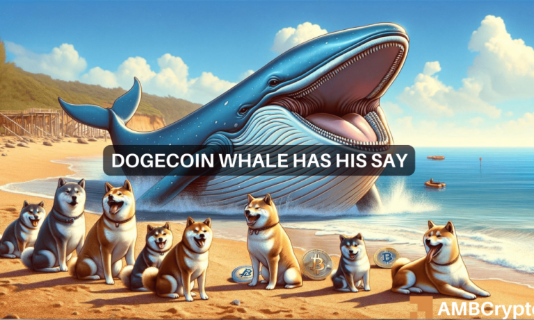 Dogecoin Whale1 1000x600.png