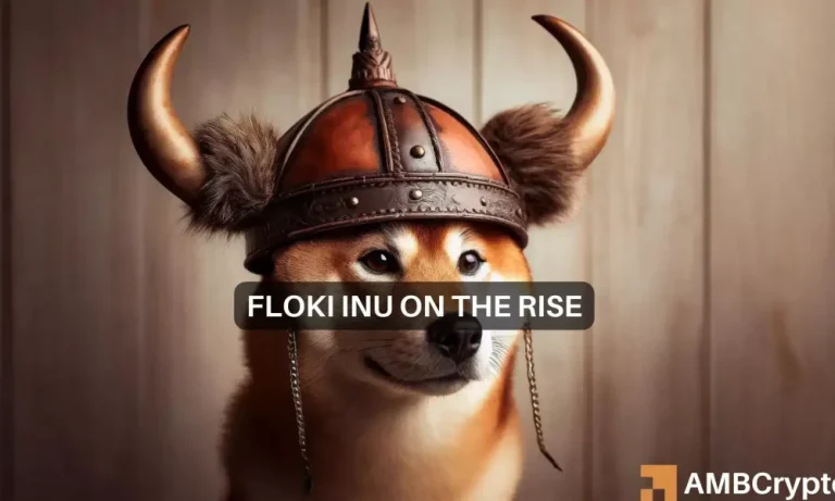 Floki Inus Price Increases 1 1000x600.webp.webp