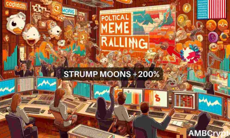 Strump Fi 1 1000x600.jpeg