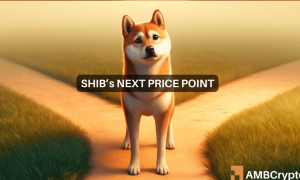 Shiba Inu 1000x600.png