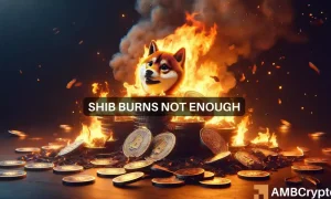 Shiba Inu Burns 1 1000x600.webp.webp