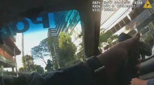 Whatsapp Image 2024 05 31 At 16.04.35.jpeg