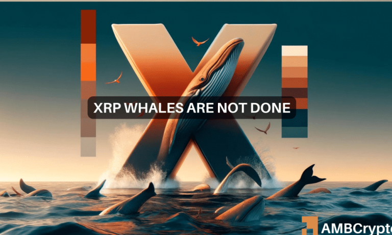 Xrp 1000x600.png