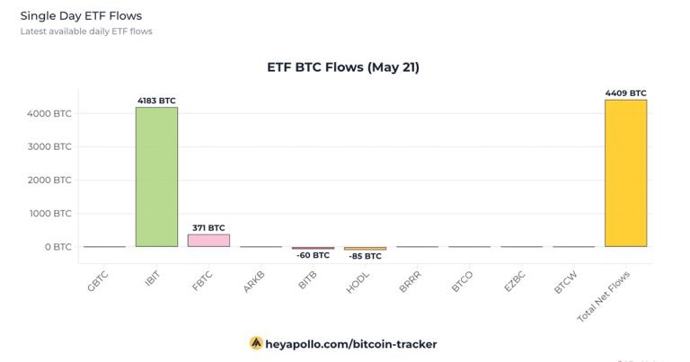 Bitcoin Etf Flows May21.jpg