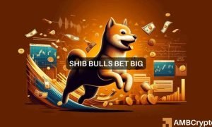 Shib Vic 1000x600.jpeg