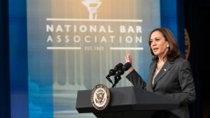 51441311744 6b721225f2 B E1719508805935.jpg