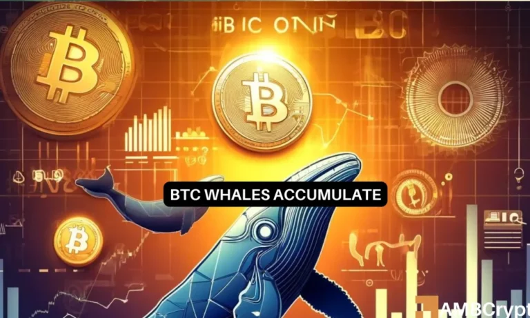 Btc Whales 1 1000x600.webp.webp