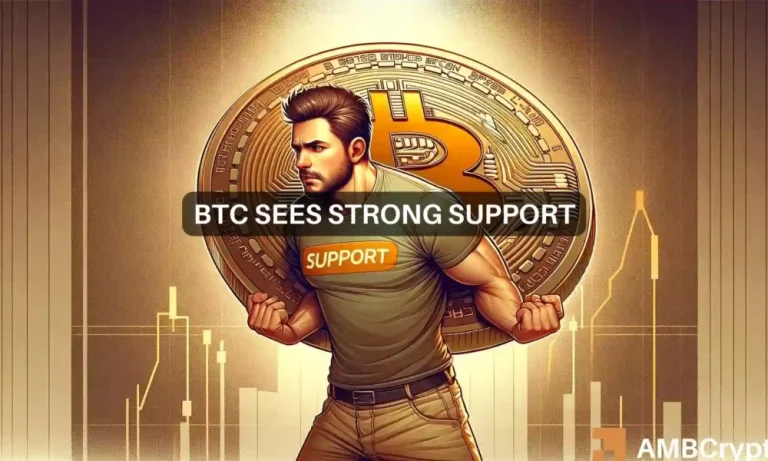 Btcs Strong Support 1 1000x600.webp.webp