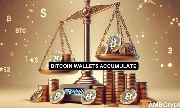 Bitcoin Wallet Accumulation 1000x600.webp.webp