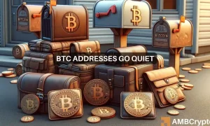Bitcoin Addresses 1 1000x600.webp.webp