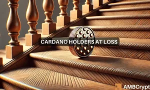 Cardano Holders 1 1000x600.webp.webp