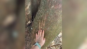 Design Sem Nome 1 3.jpg