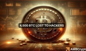 News Articles Fi Editors 19 1000x600.jpg