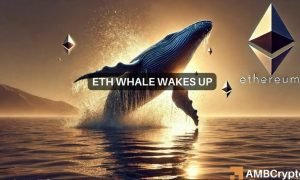 News Articles Fi Editors 46 1000x600.jpg