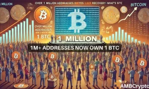 Over 1 Million Addresses Now Own 1 Btc 1000x600.webp.webp