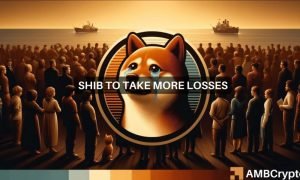 Shib 1000x600.jpg