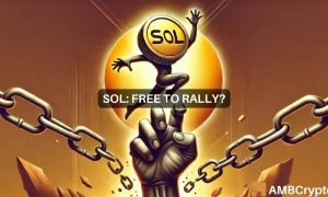 Sol Fi 2 1000x600.jpg