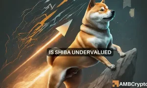 Shiba Inu 1000x600.webp.webp