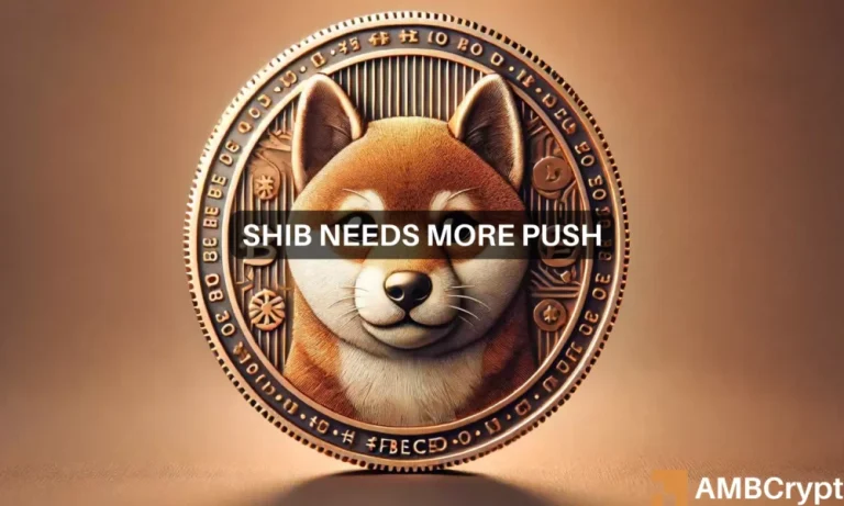 Shiba Inu 1000x600.webp.webp