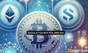 Solana Sui 1 1000x600.webp.webp