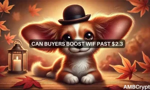 Wif Featured Image 2 1000x600.webp.webp