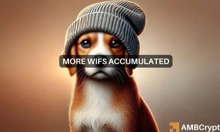 Wif Accumulation 1 1000x600.webp.webp