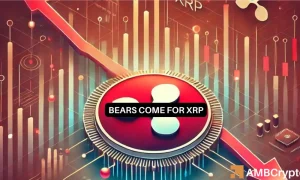 Xrp Bears 1000x600.webp.webp