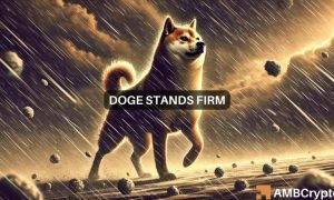 Doge Fi 1000x600.jpg