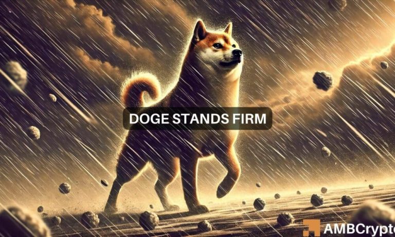 Doge Fi 1000x600.jpg