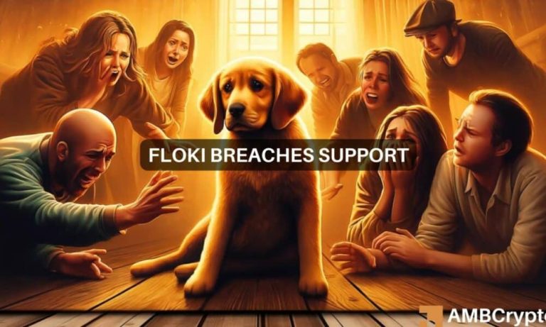 Floki 1 1000x600.jpg