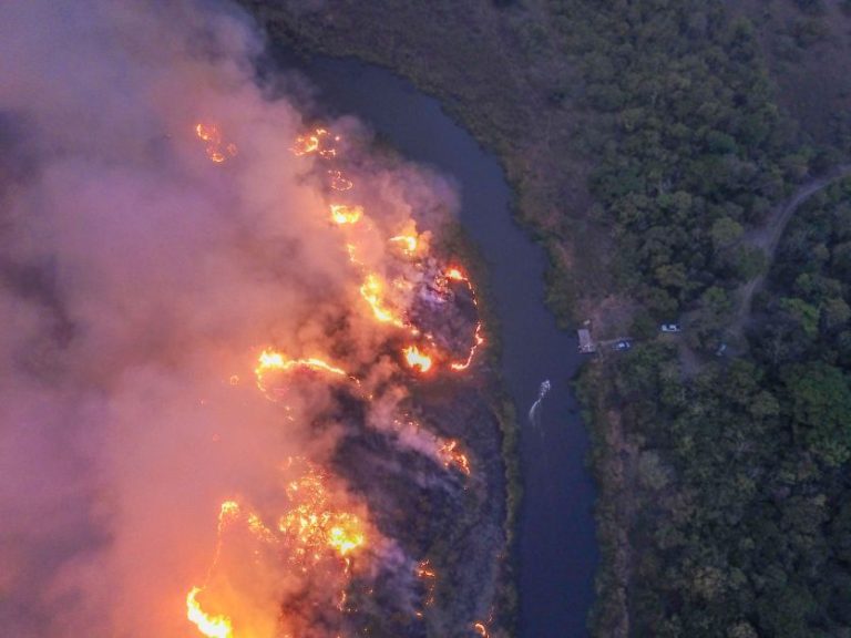 Queimada Pantanal Pocone 2020.jpg