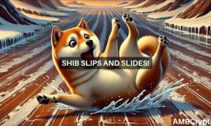 Shib Fi 1000x600.jpg
