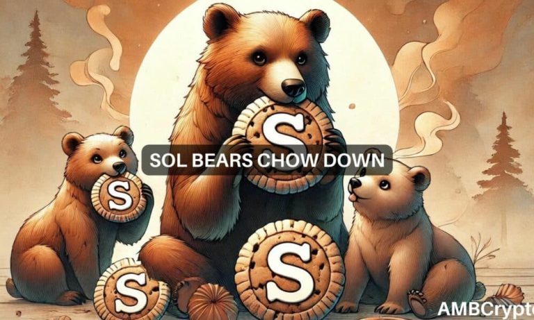 Sol Fi 1 1000x600.jpg