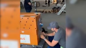 1720670557 Design Sem Nome 22.jpg