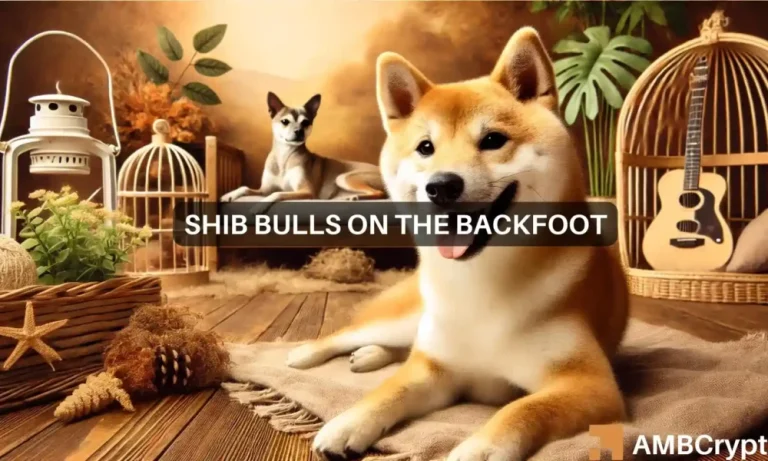 2shiba Inu Featured Image 1000x600.webp.webp