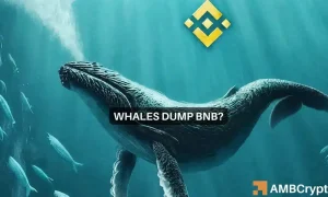 Binance Whales Bnb 1000x600.webp.webp