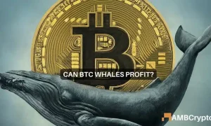 Bitcoin Whales 1 1000x600.webp.webp
