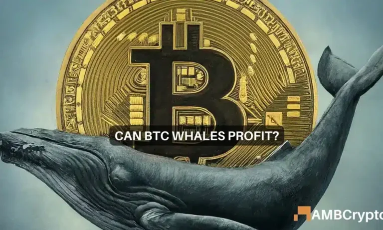 Bitcoin Whales 1 1000x600.webp.webp