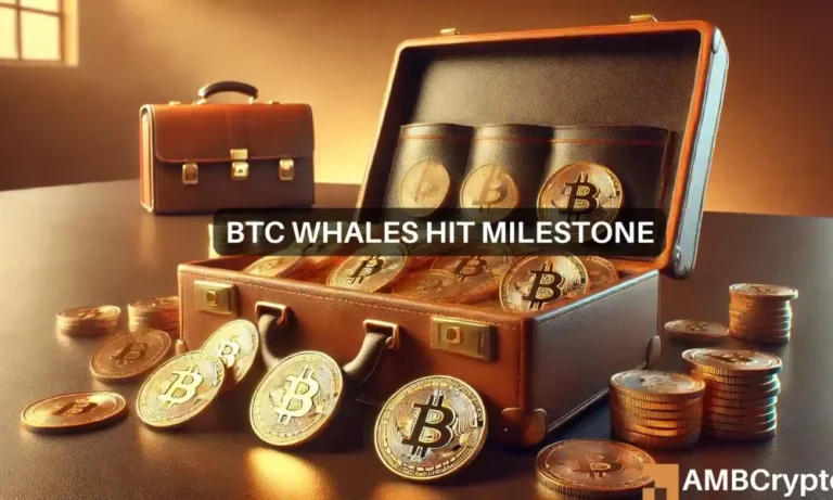 Bitcoin Whales 1 1 1000x600.webp.webp