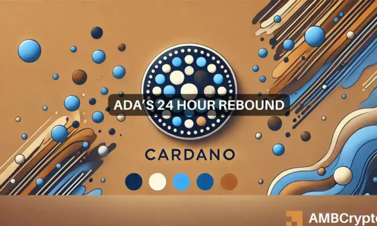 Cardano 1 1 1000x600.webp.webp