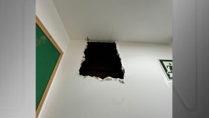 Copia De Copia De Copia De Copia De Design Sem Nome.png