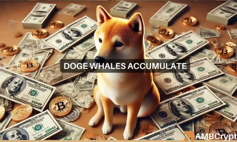 Dogecoin Whales 1 1000x600.webp.webp
