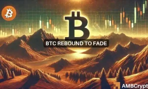 Md 3 Btc Fi 1000x600.webp.webp