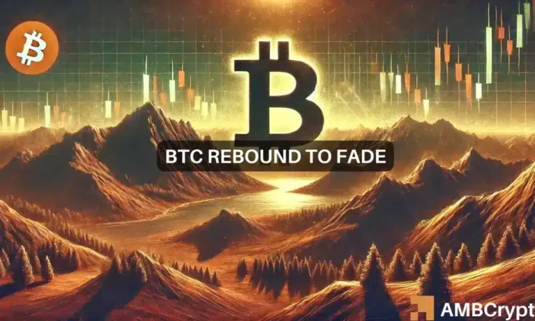 Md 3 Btc Fi 1000x600.webp.webp